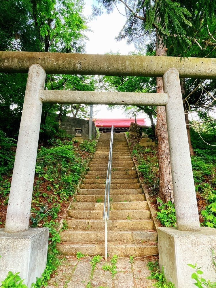 猫なぎ。さんが投稿した大森山公園（山形県東根市）に関する口コミの画像