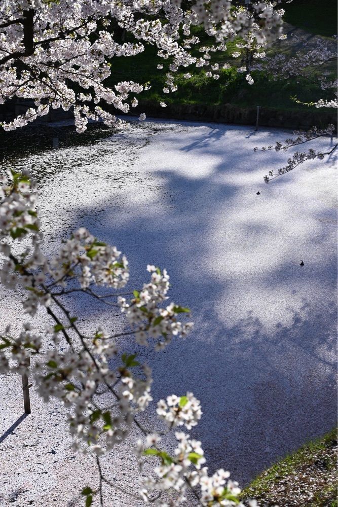佳さんが投稿した洋館めぐりに関する口コミの画像