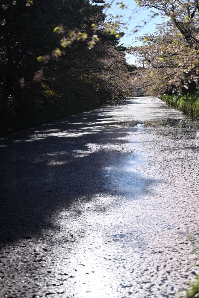 佳さんが投稿した洋館めぐりに関する口コミの画像