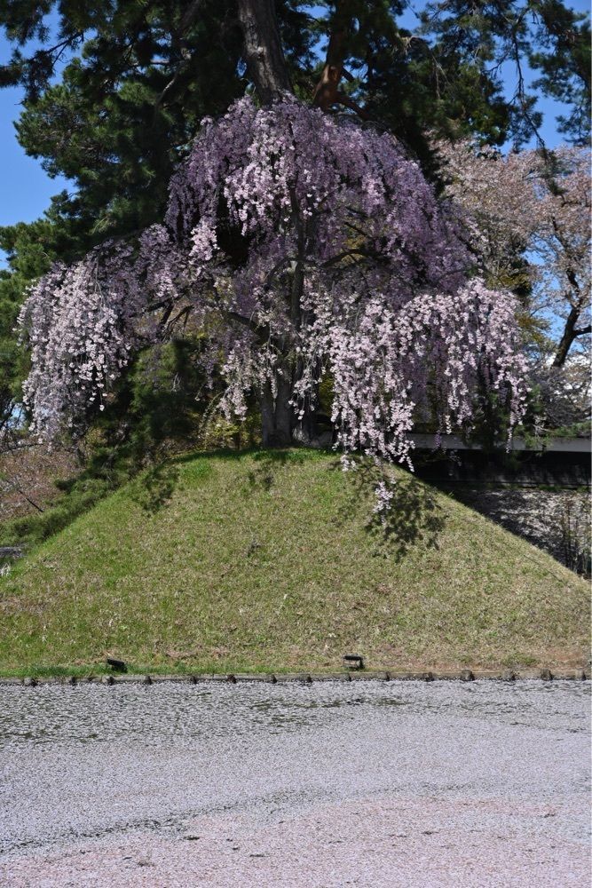 佳さんが投稿した洋館めぐりに関する口コミの画像