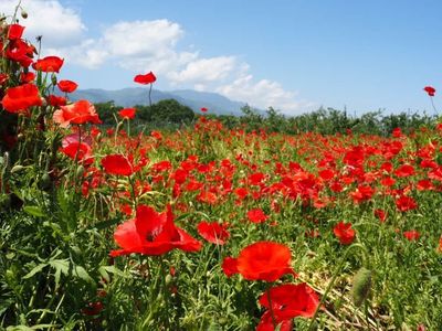 たかぎ農村交流研修センター 1枚目