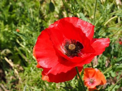 たかぎ農村交流研修センター 2枚目