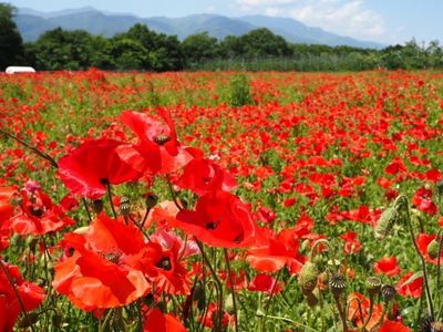 たかぎ農村交流研修センター 3枚目