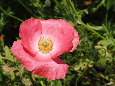 たかぎ農村交流研修センター 4枚目