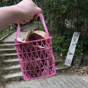 しい茸ランド　かさや
