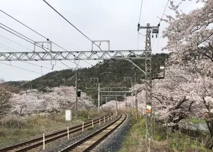 山中渓