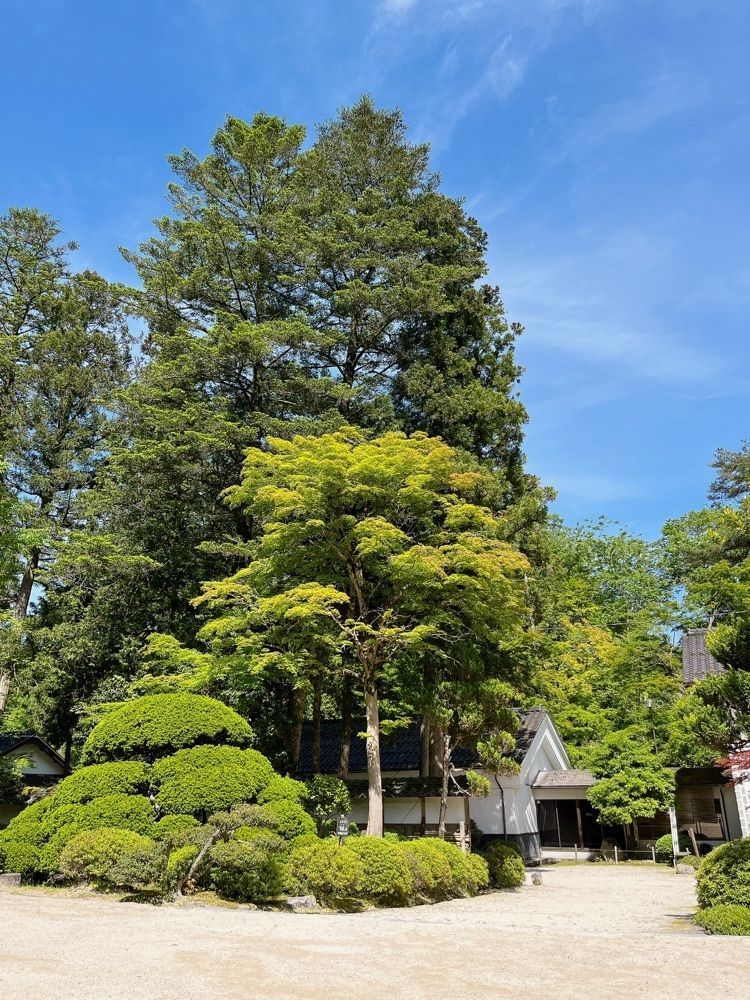Yukiさんが投稿した公益財団法人絲原記念館に関する口コミの画像