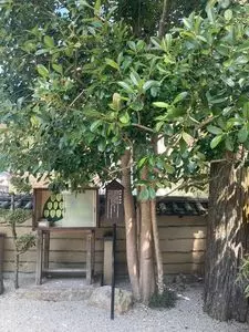 法起院