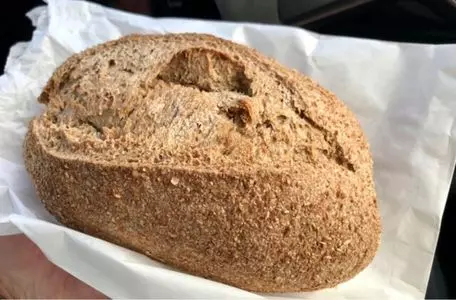 カボチャ（Kabocha）