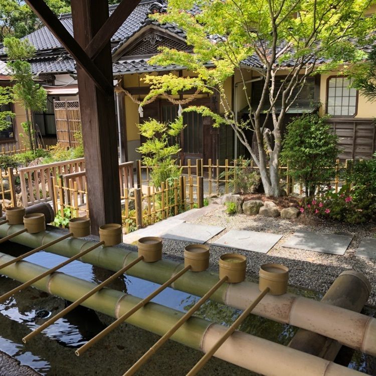 mimiの画像
