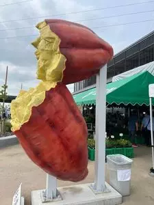 道の駅　常総