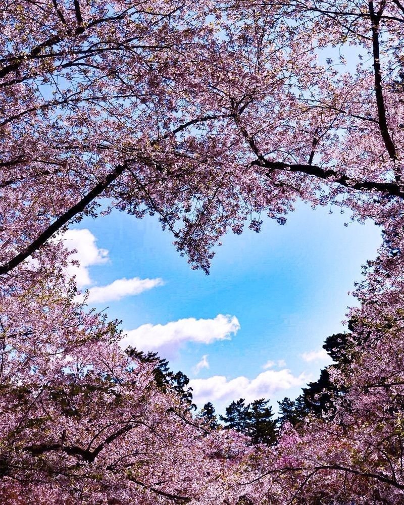 佳さんが投稿した弘前公園 与力番所に関する口コミの画像