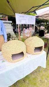 遍照院