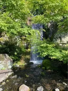 朱雀の庭