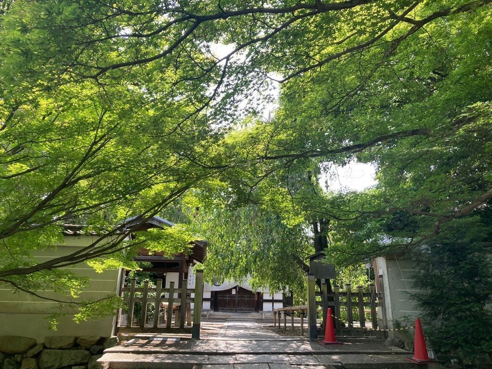 ふみさんが投稿した養源院に関する口コミの画像
