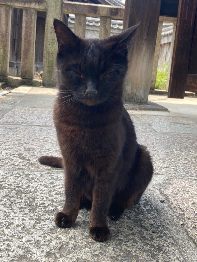 ふみさんが投稿した養源院に関する口コミの画像