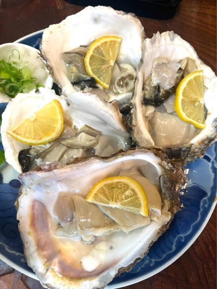 JM-リカレさんが投稿した富田屋に関する口コミの画像