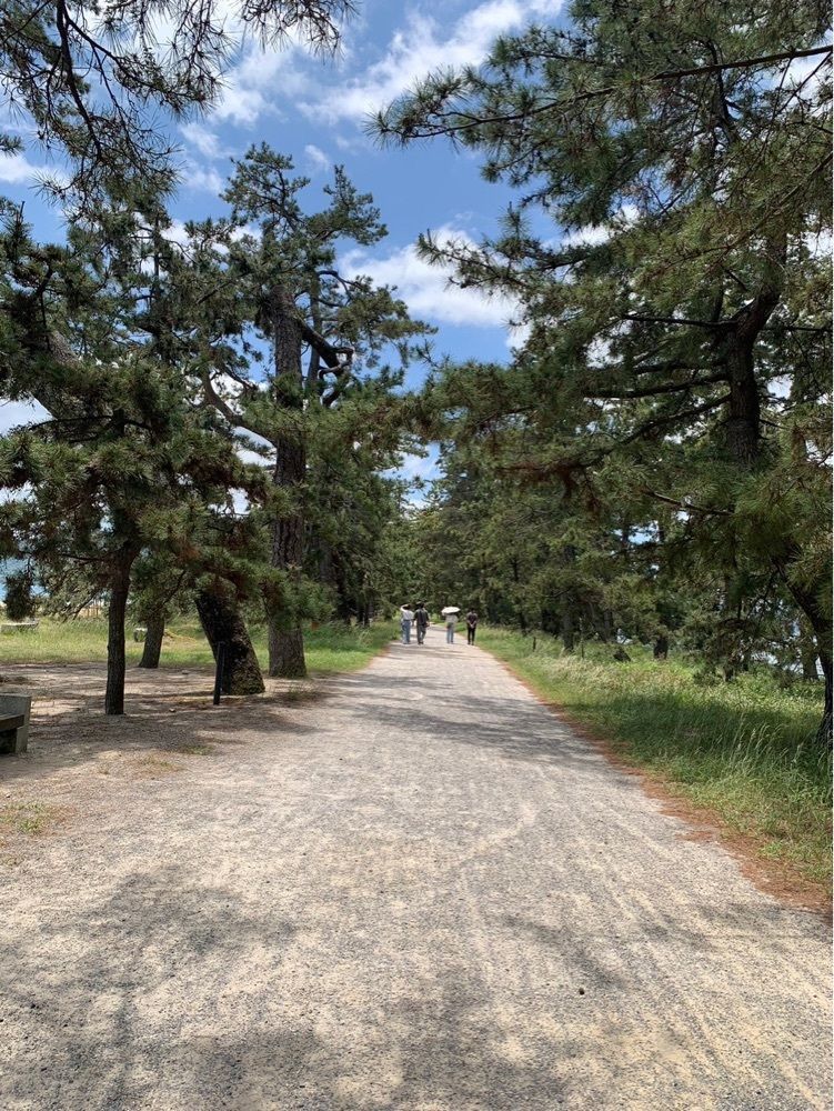 JM-リカレさんが投稿した富田屋に関する口コミの画像
