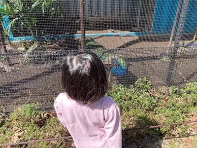 羽村市動物公園