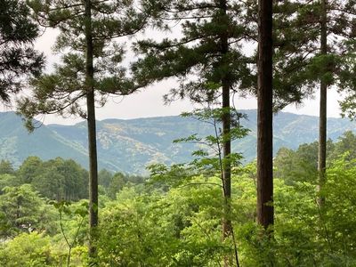 富幕山