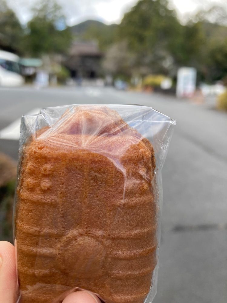 ふみさんが投稿した三井寺大門に関する口コミの画像