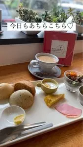 カチコチカフェ