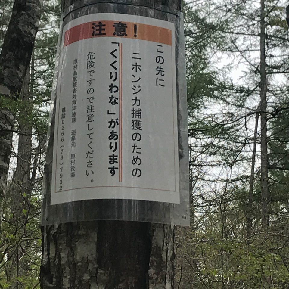 みんみんさんが投稿した八ヶ岳美術館(原村歴史民俗資料館)に関する口コミの画像