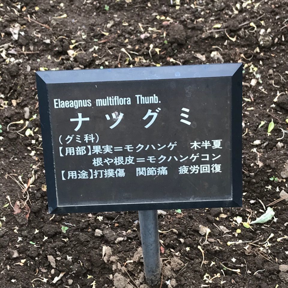 みんみんさんが投稿したシミック八ヶ岳薬用植物園に関する口コミの画像