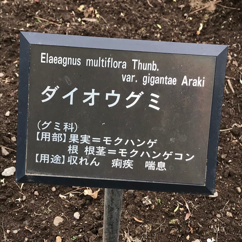 みんみんさんが投稿したシミック八ヶ岳薬用植物園に関する口コミの画像