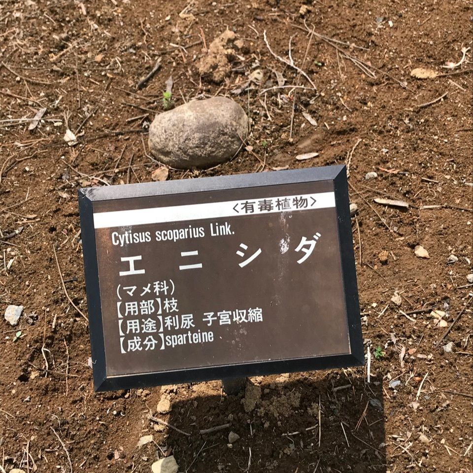 みんみんさんが投稿したシミック八ヶ岳薬用植物園に関する口コミの画像