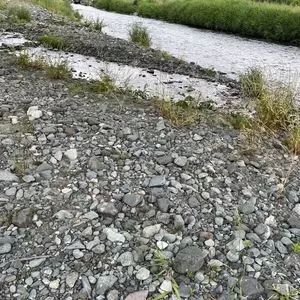 酒匂川