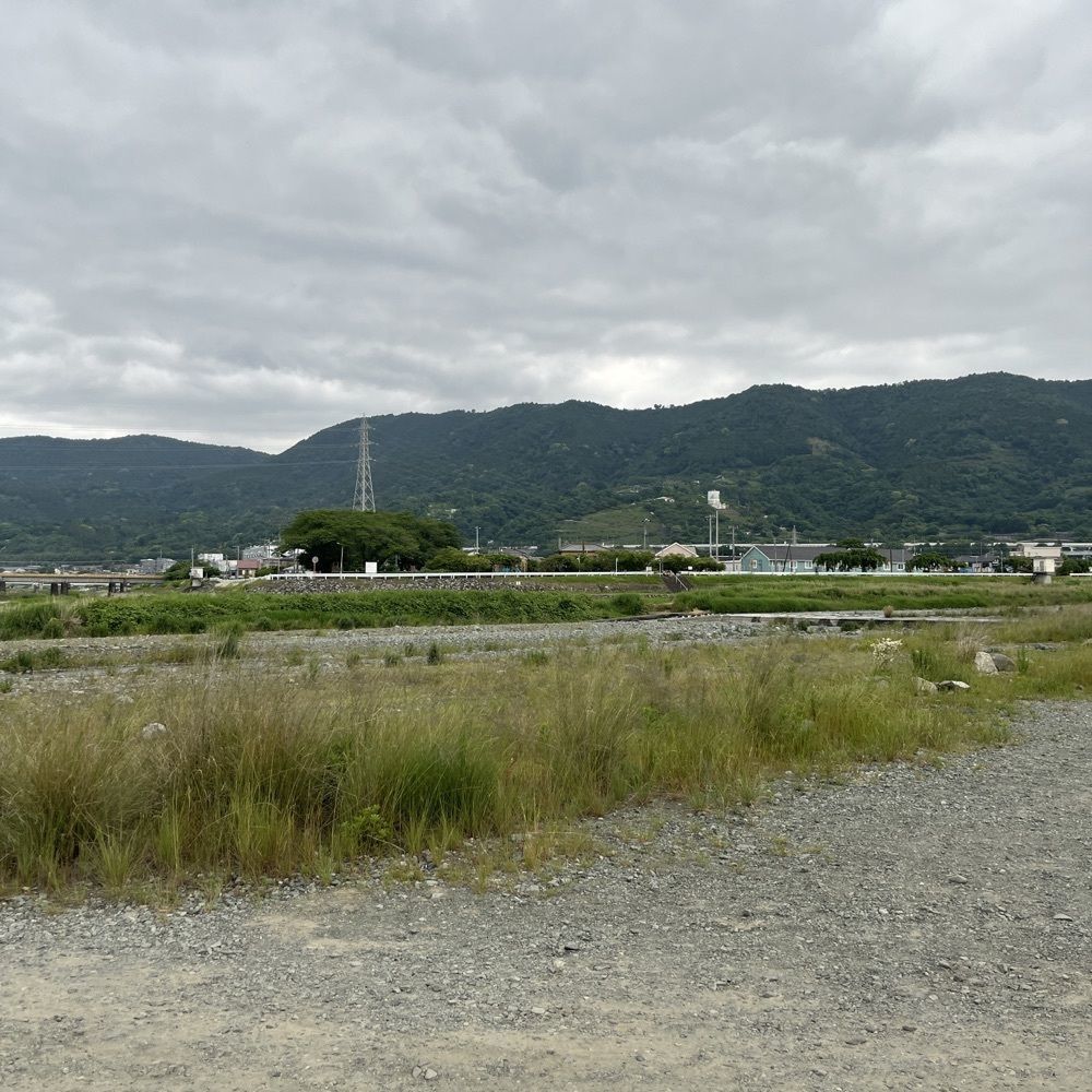 ロッシフミさんが投稿した酒匂川に関する口コミの画像
