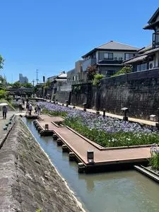 裏川水際緑地