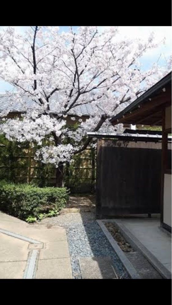 京都を巡る会・「武」さんが投稿した千本出水飲み処 いろはに関する口コミの画像