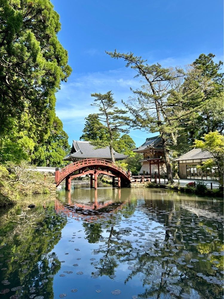 nico☺︎さんが投稿した金剛證寺に関する口コミの画像