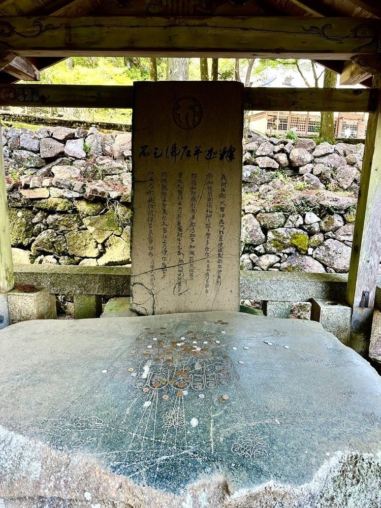 nico☺︎さんが投稿した金剛證寺に関する口コミの画像