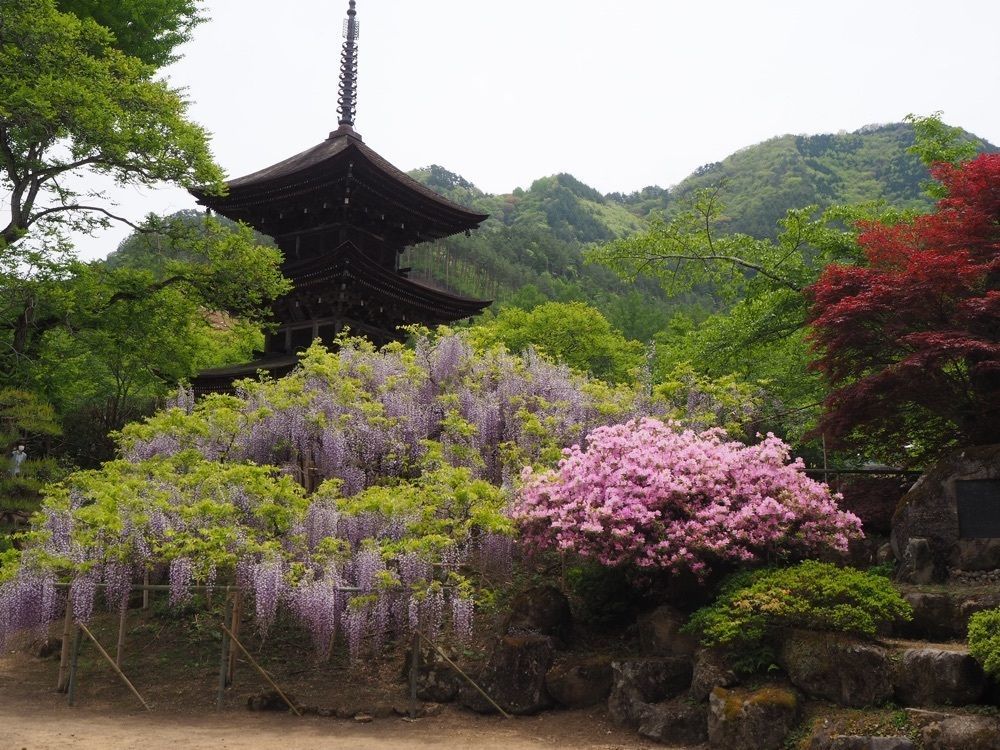 ming_nya64さんが投稿した前山寺（ゼンサンジ）に関する口コミの画像