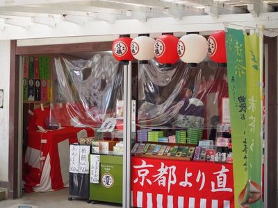 八橋かきつばた園 7枚目