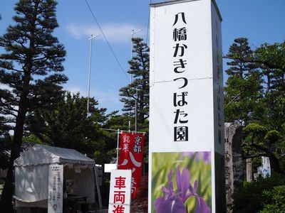 八橋かきつばた園 8枚目