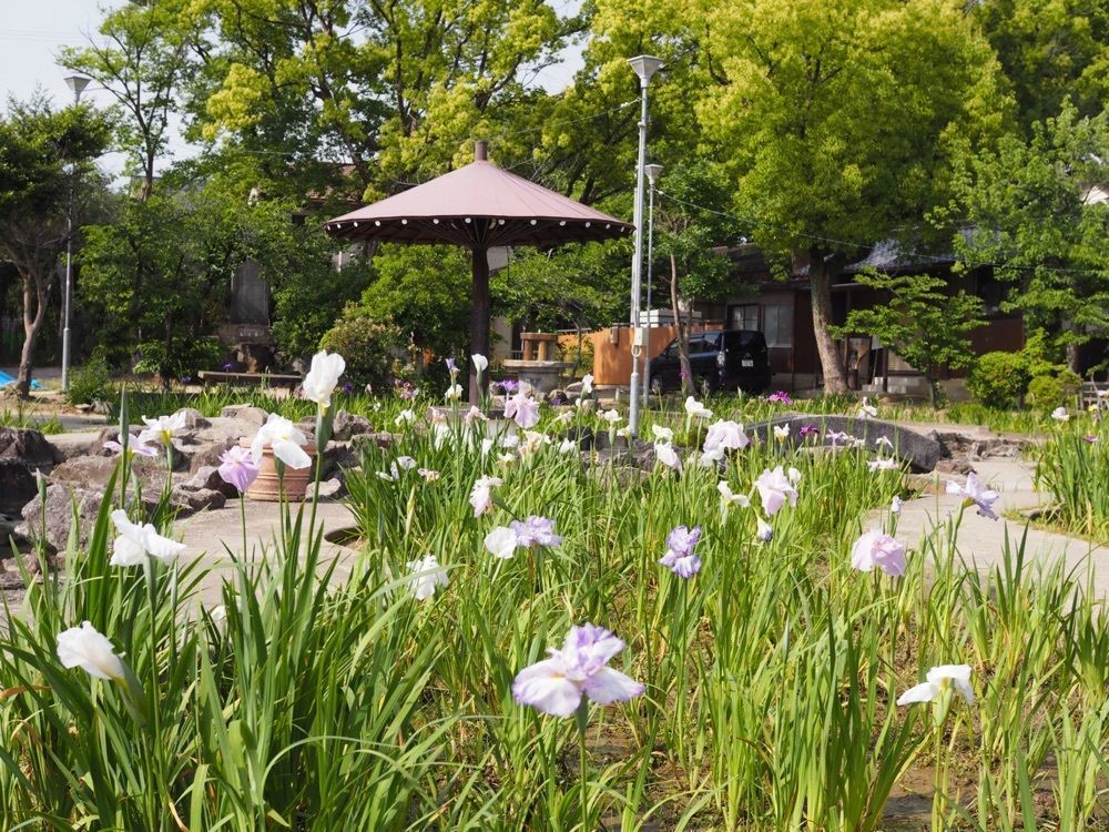 なおなおさんが投稿した知立公園に関する口コミの画像