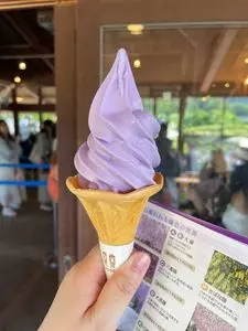 マロニエ