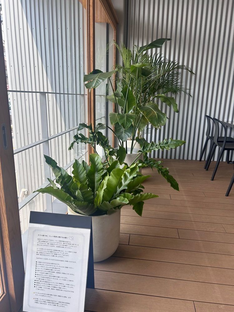 えみえみっさんが投稿したcafé terrasse emu（エム）に関する口コミの画像