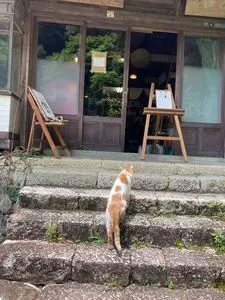 瀞峡