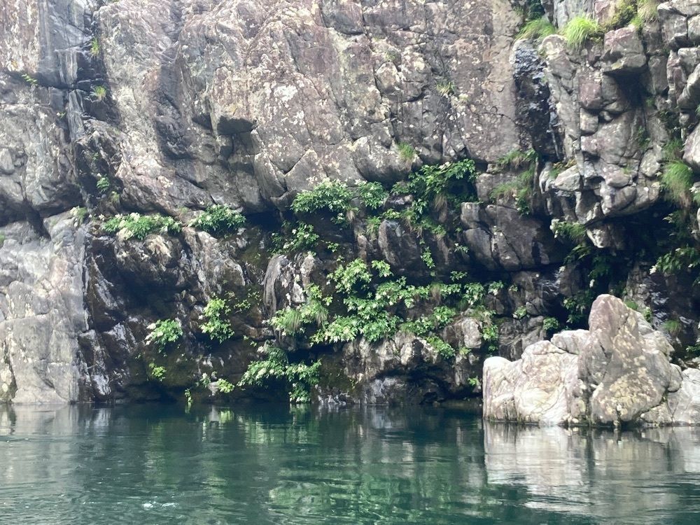 ふみさんが投稿した北山川観光筏下りに関する口コミの画像