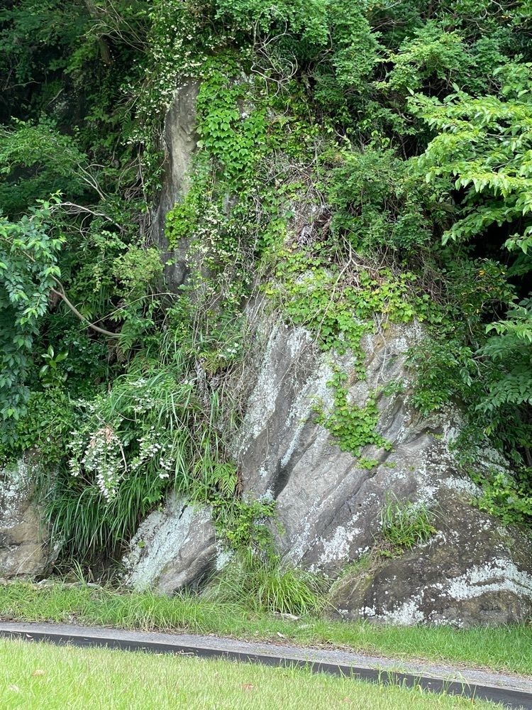 志保さんが投稿した木更津東カントリークラブ（【旧店名】亀山湖カントリークラブ）に関する口コミの画像