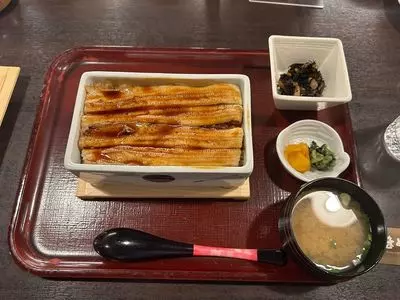 まめたぬき