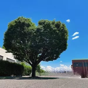 猪苗代町総合体育館