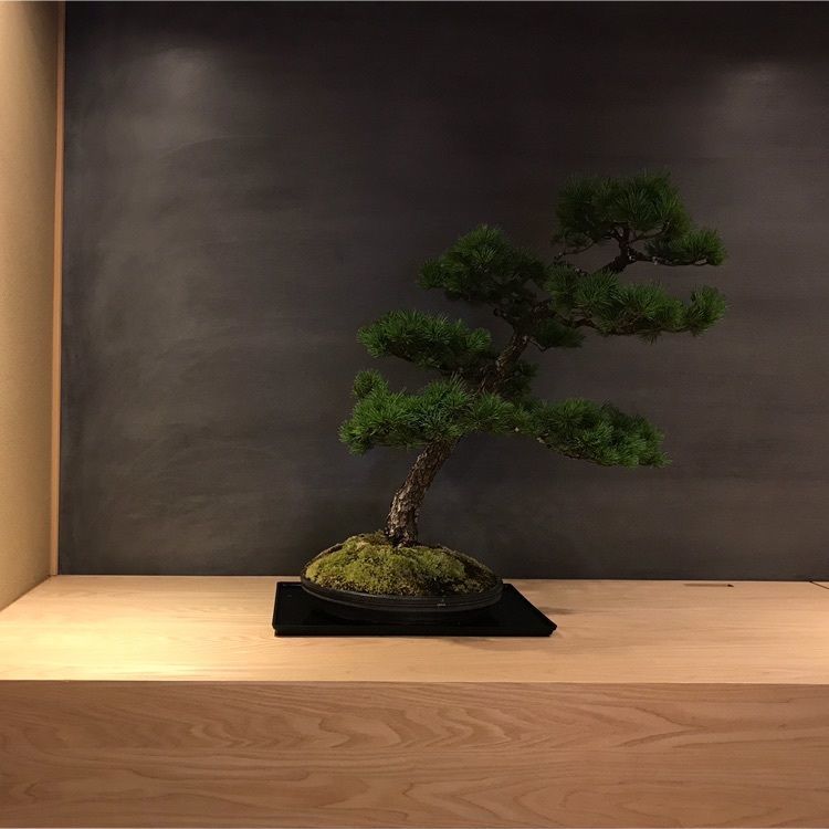 ken2ro_aumoさんが投稿したBONGEN COFFEEに関する口コミの画像