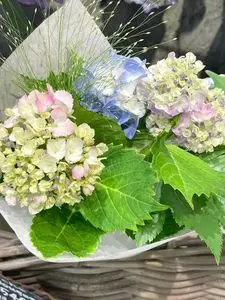 青山フラワーマーケット エキュート日暮里店