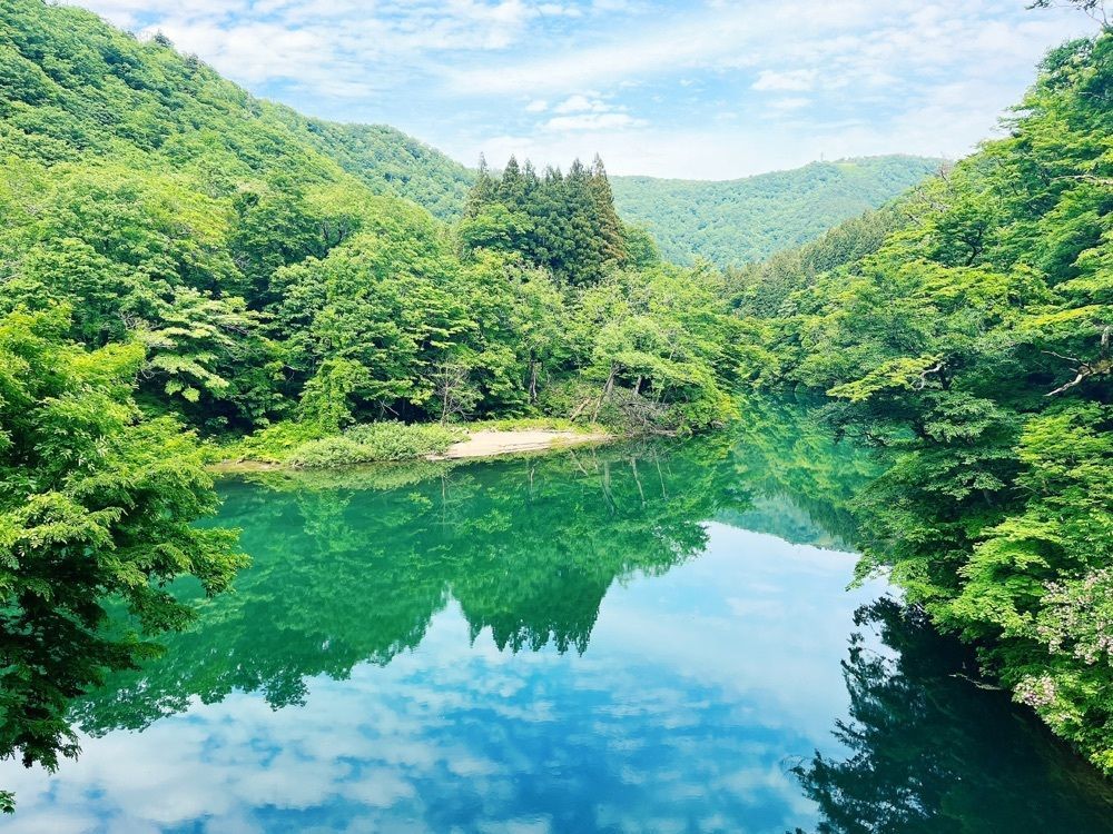 猫なぎ。さんが投稿した赤芝峡に関する口コミの画像